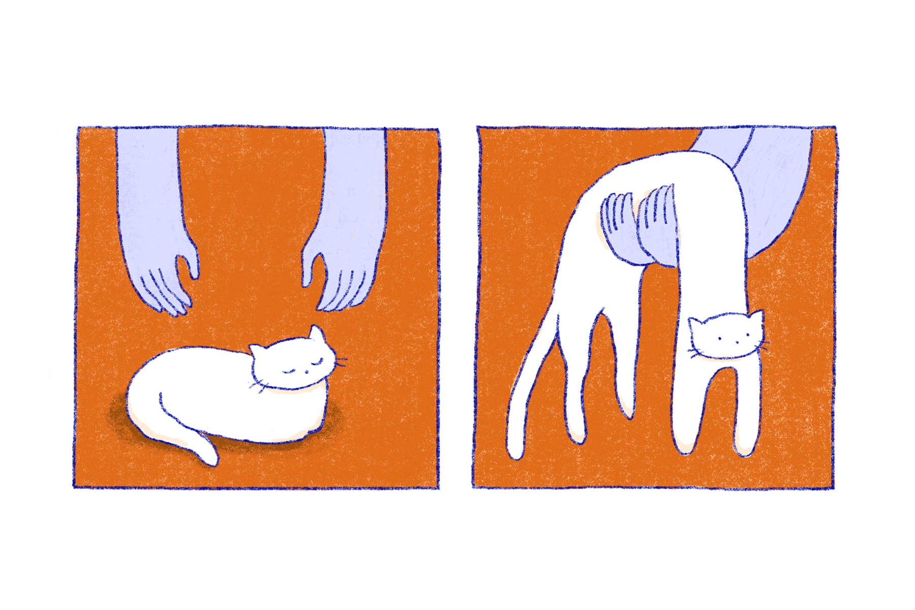 Anatomically impossible